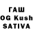 Псилоцибиновые грибы Psilocybine cubensis KYkLaJoKeR