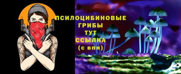 марки nbome Горнозаводск